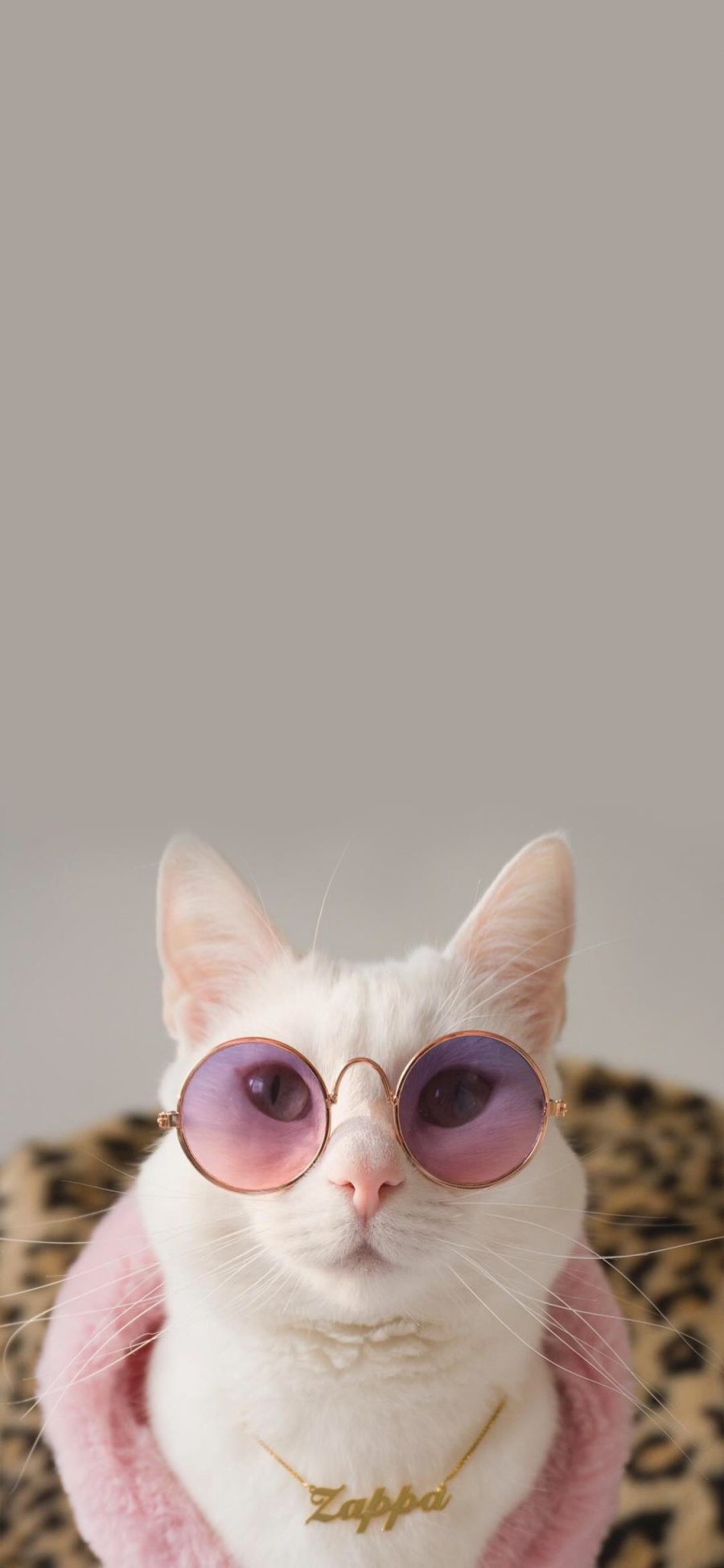 [2436×1125]猫咪 时尚 萌 宠物 喵星人 品牌 豹纹 苹果手机壁纸图片