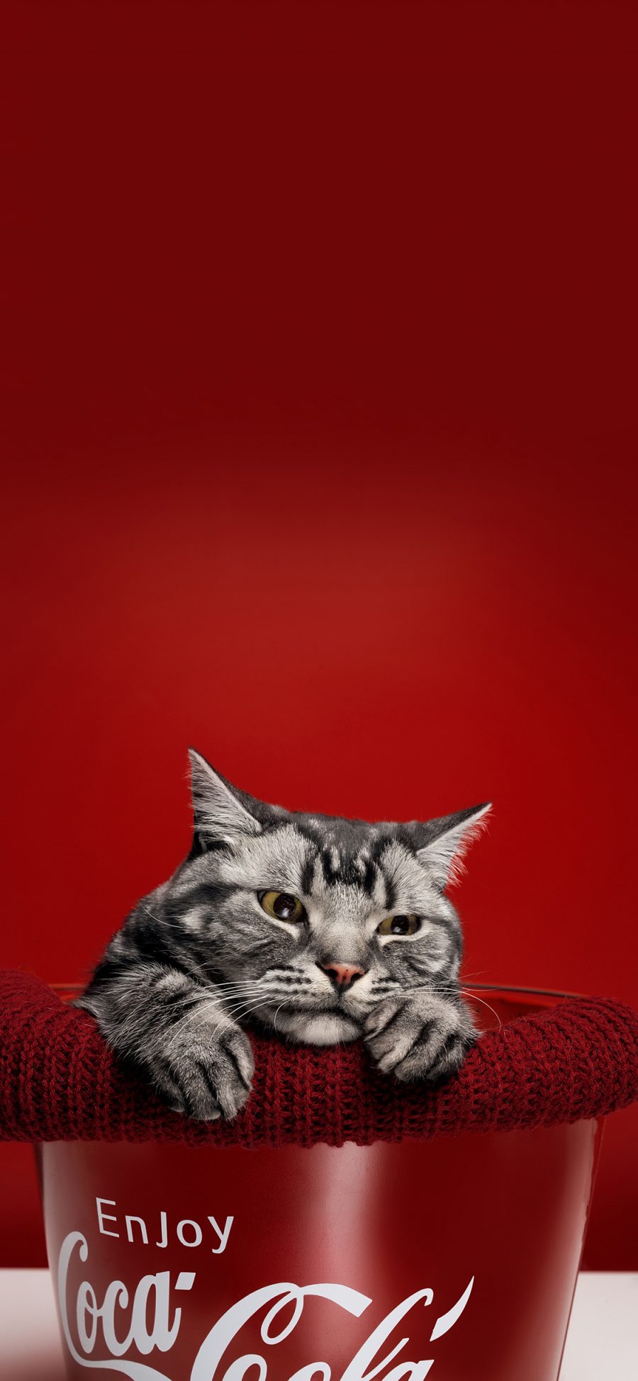 [2436×1125]红色背景 猫咪 喵星人 可爱 苹果手机壁纸图片