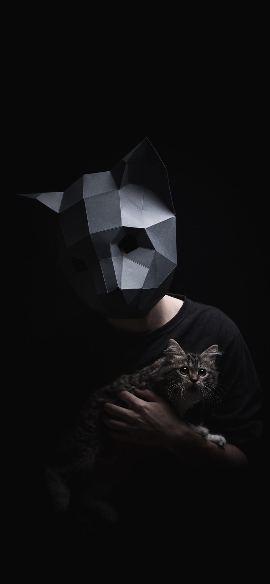 [2436×1125]面具 几何 写真 猫咪 苹果手机壁纸图片