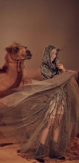 [2436x1125]艺人 演员 造型 杨幂 骆驼 苹果手机美女壁纸图片