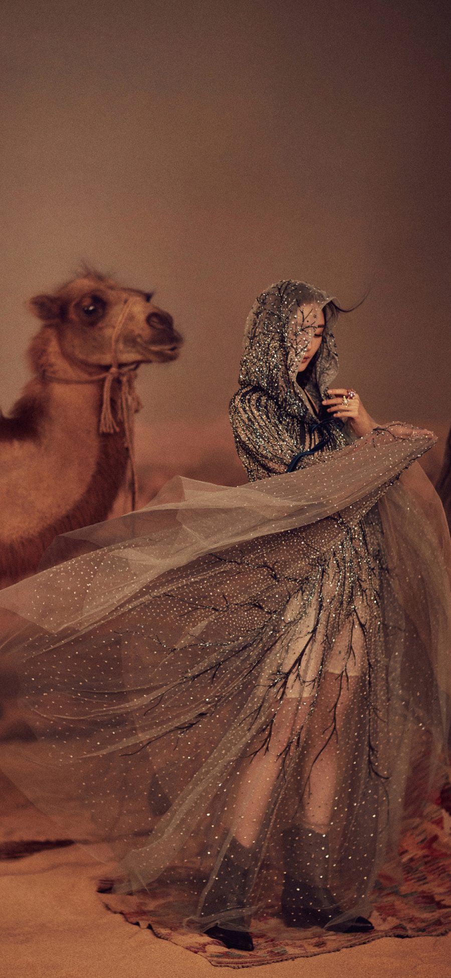 [2436×1125]艺人 演员 造型 杨幂 骆驼 苹果手机美女壁纸图片