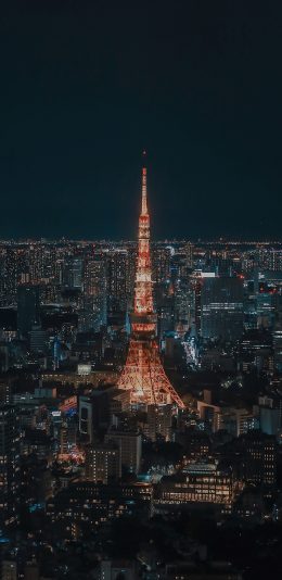 [2436x1125]东京塔 城市 夜景 都市 建筑 苹果手机壁纸图片