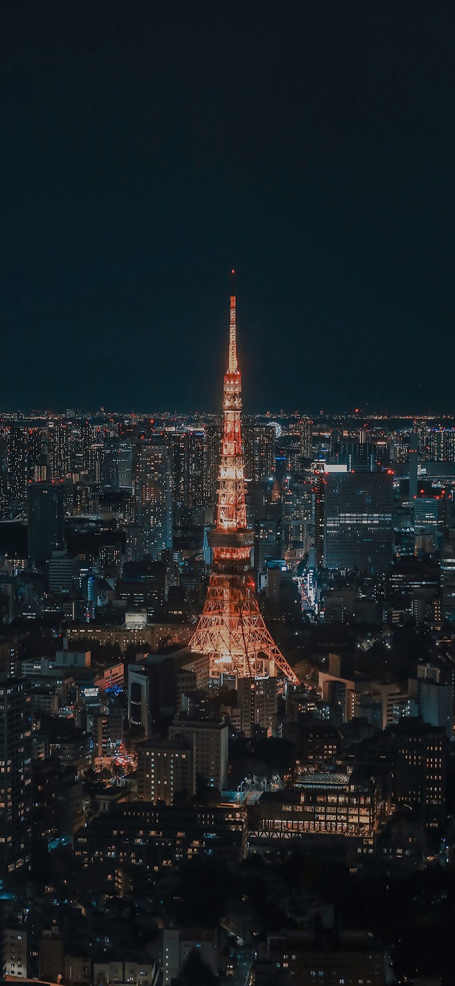 [2436×1125]东京塔 城市 夜景 都市 建筑 苹果手机壁纸图片