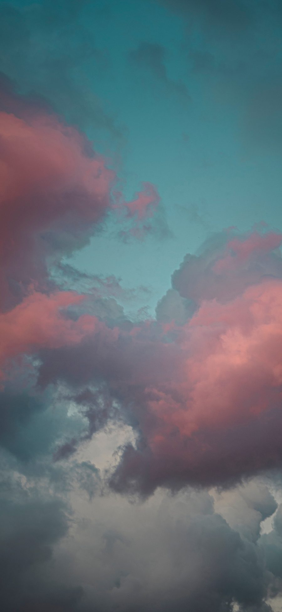 [2436×1125]云彩 云海 夕阳 云彩 天空 苹果手机壁纸图片