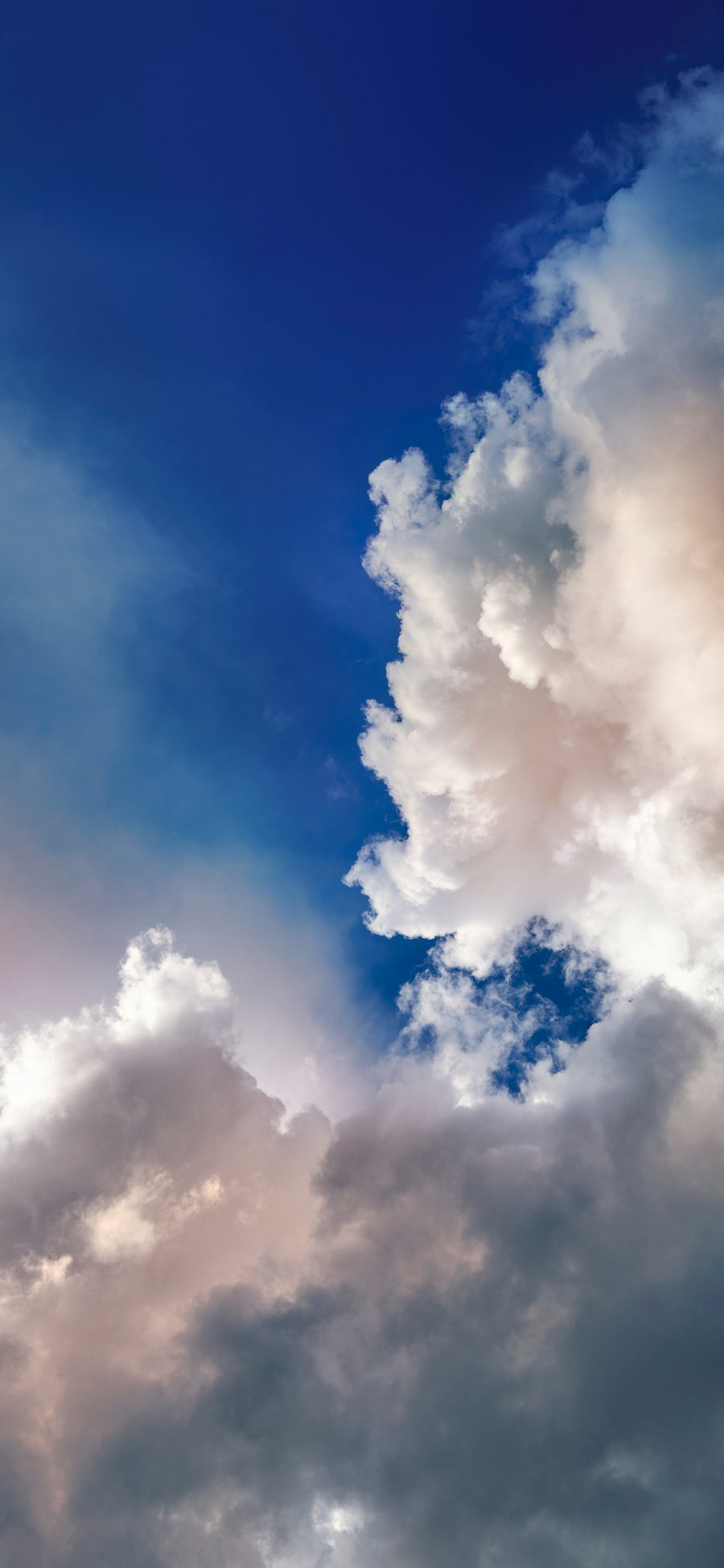 [2436×1125]云朵 天空 蔚蓝 云 苹果手机壁纸图片