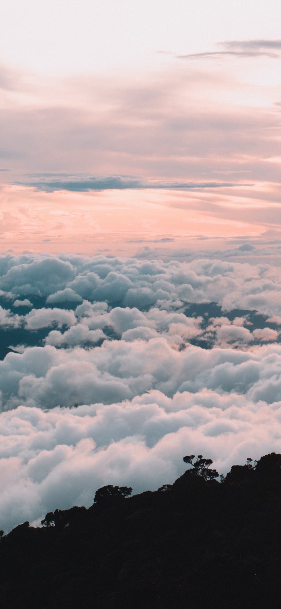 [2436×1125]云海 高山 云层 高空 苹果手机壁纸图片