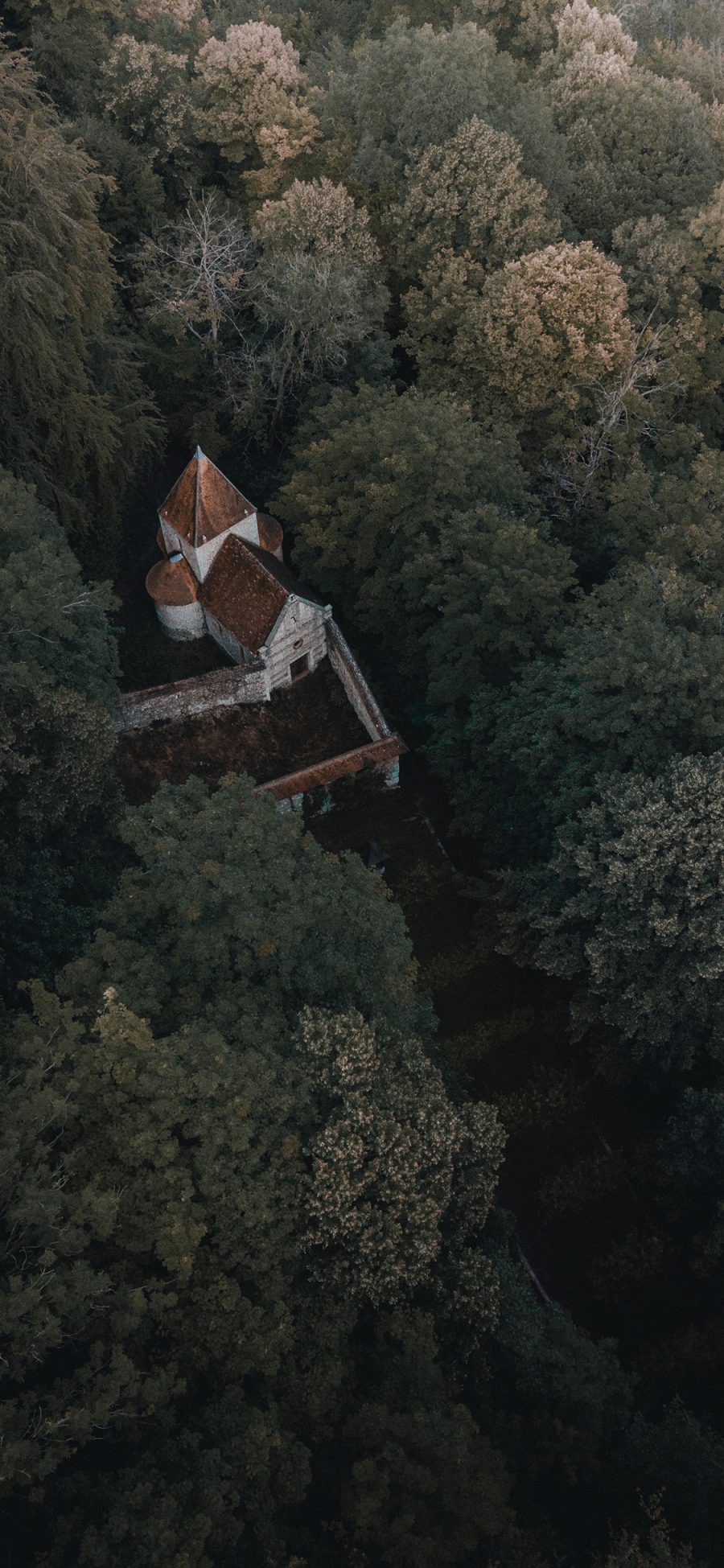 [2436×1125]仰拍 建筑 树林 城堡 苹果手机壁纸图片