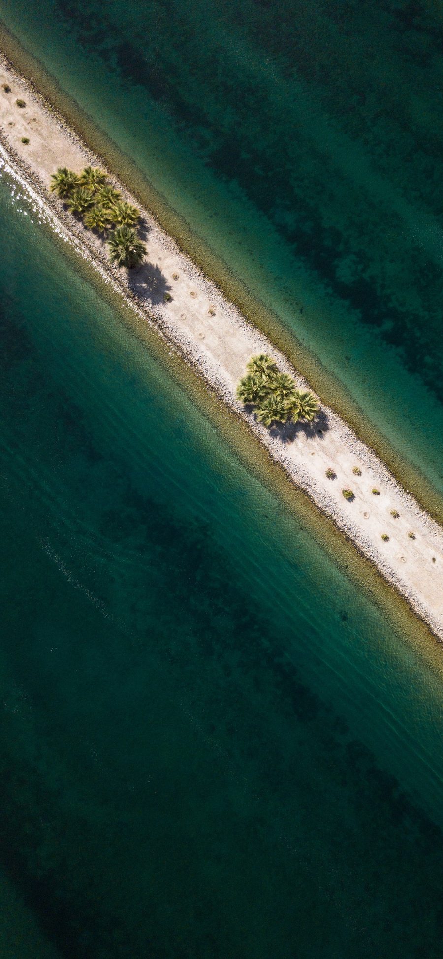 [2436×1125]俯拍 大海 沙滩 植株 苹果手机壁纸图片