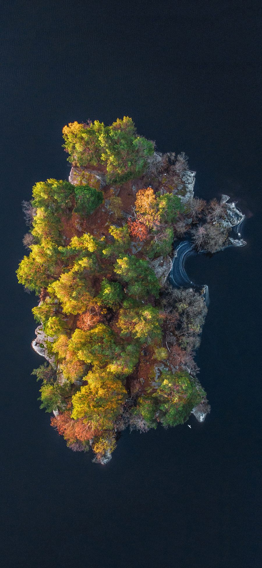 [2436×1125]俯拍 大海 海岛 植被 树木 苹果手机壁纸图片