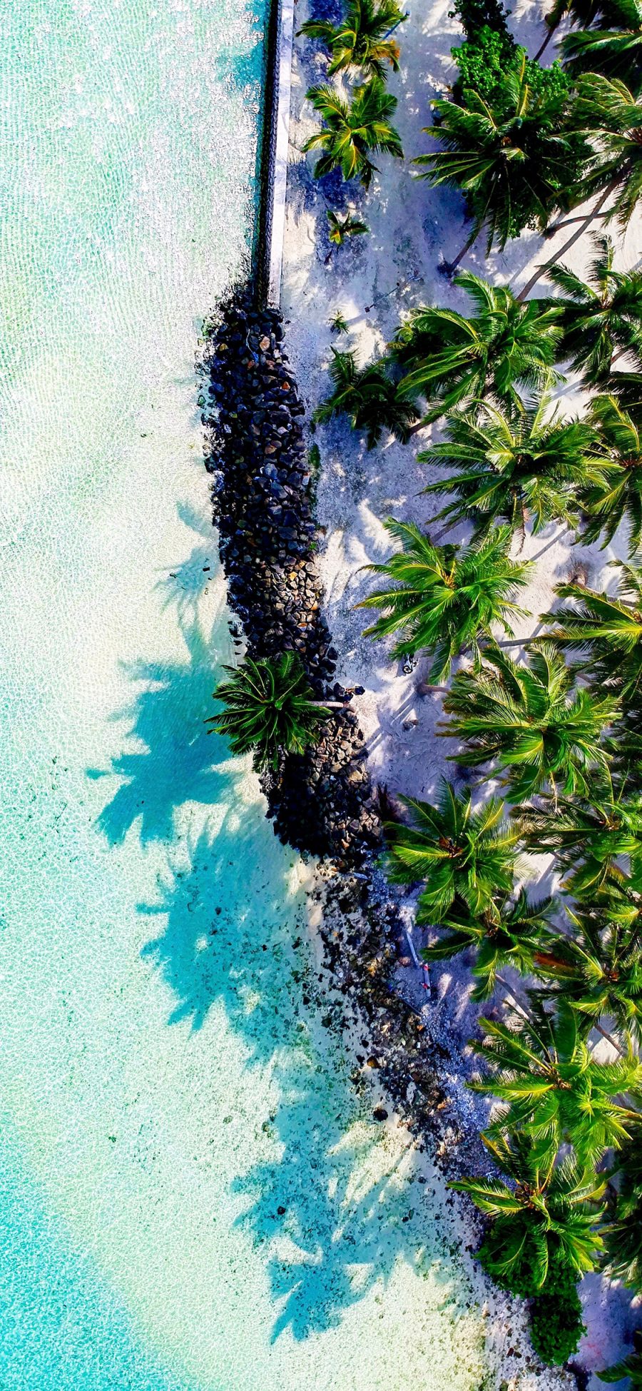 [2436×1125]俯拍 海边美景 海水 椰林 苹果手机壁纸图片