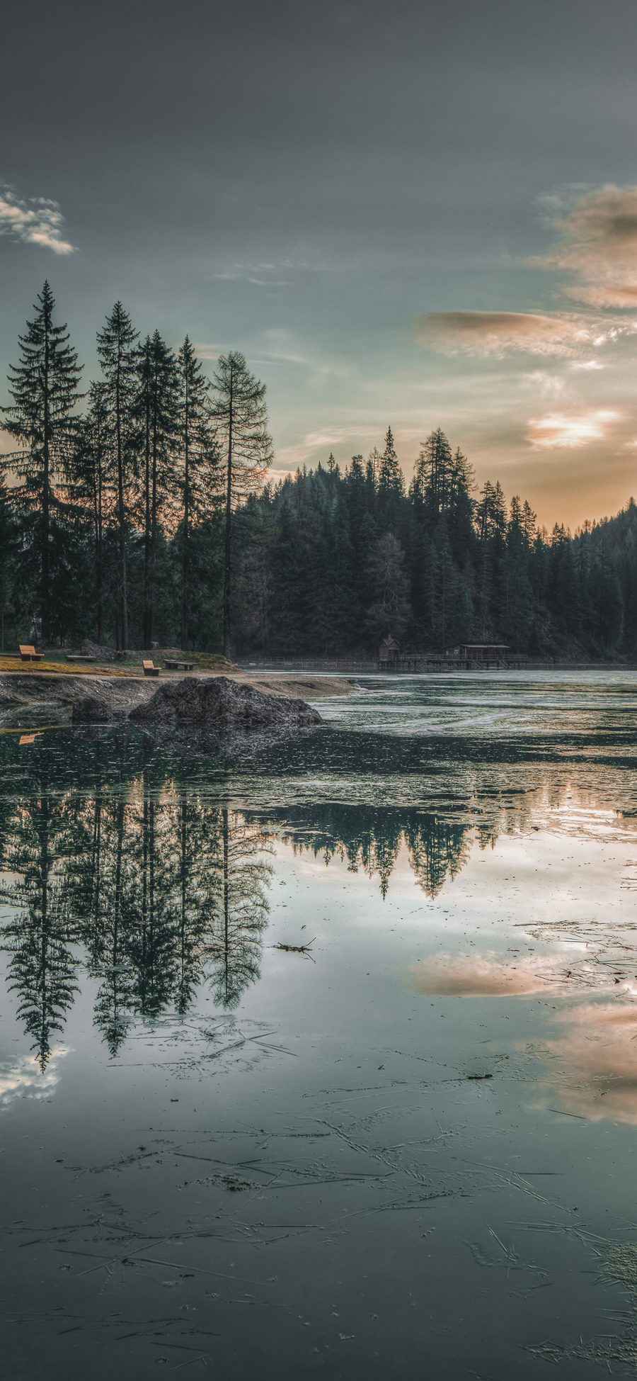 [2436×1125]倒映 景色 湖水 对称 枯枝 苹果手机壁纸图片