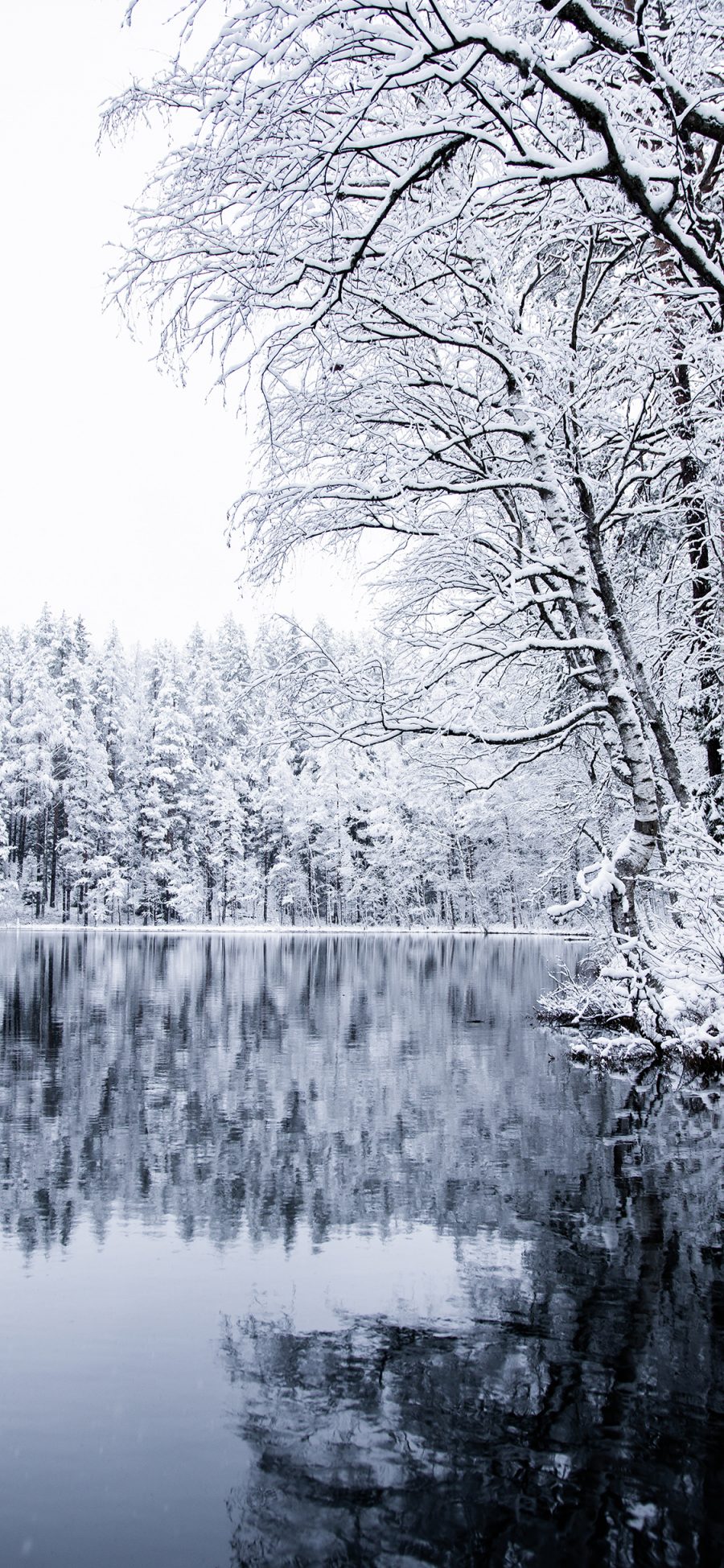 [2436×1125]冬季 美景 湖泊 树木 白雪覆盖