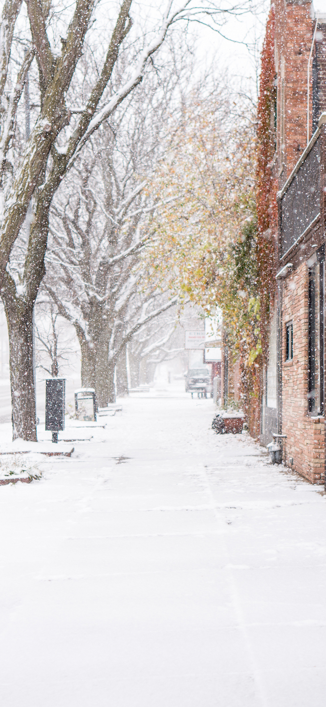 [2436×1125]冬季 街景 大雪纷飞 唯美 苹果手机壁纸图片