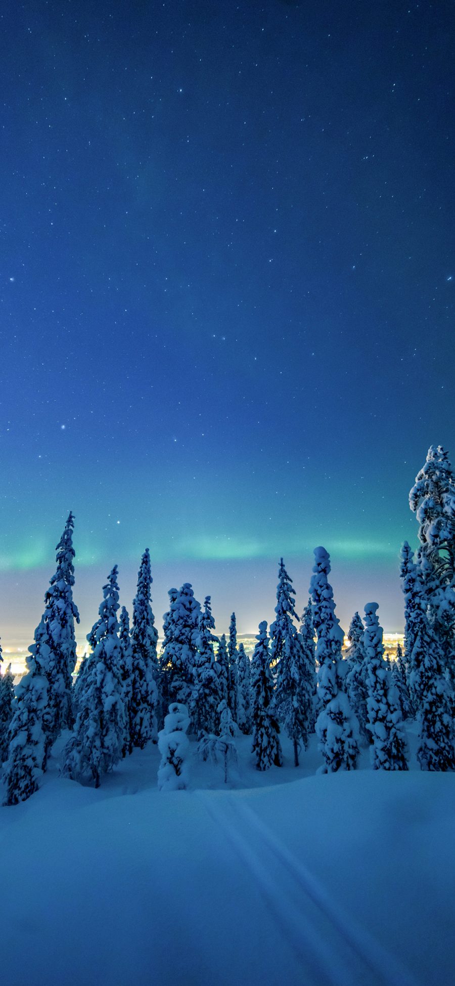 [2436×1125]冬季 雪地 树木 极光 美景 苹果手机壁纸图片