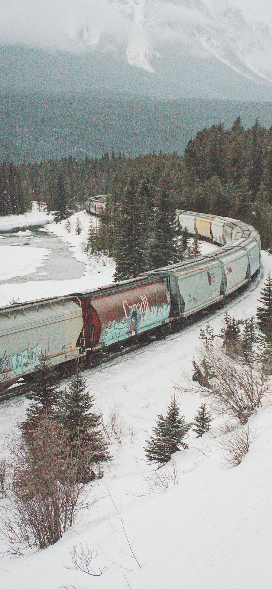 [2436×1125]冬季 雪地 植被 火车 苹果手机壁纸图片