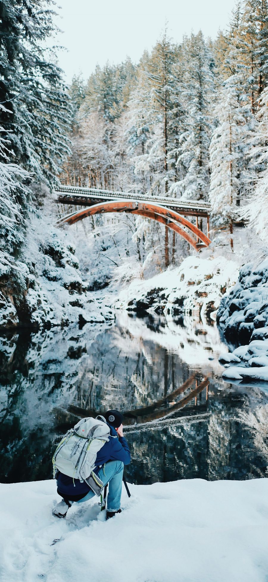 [2436×1125]冬季 雪地 湖泊 树木 白色 苹果手机壁纸图片