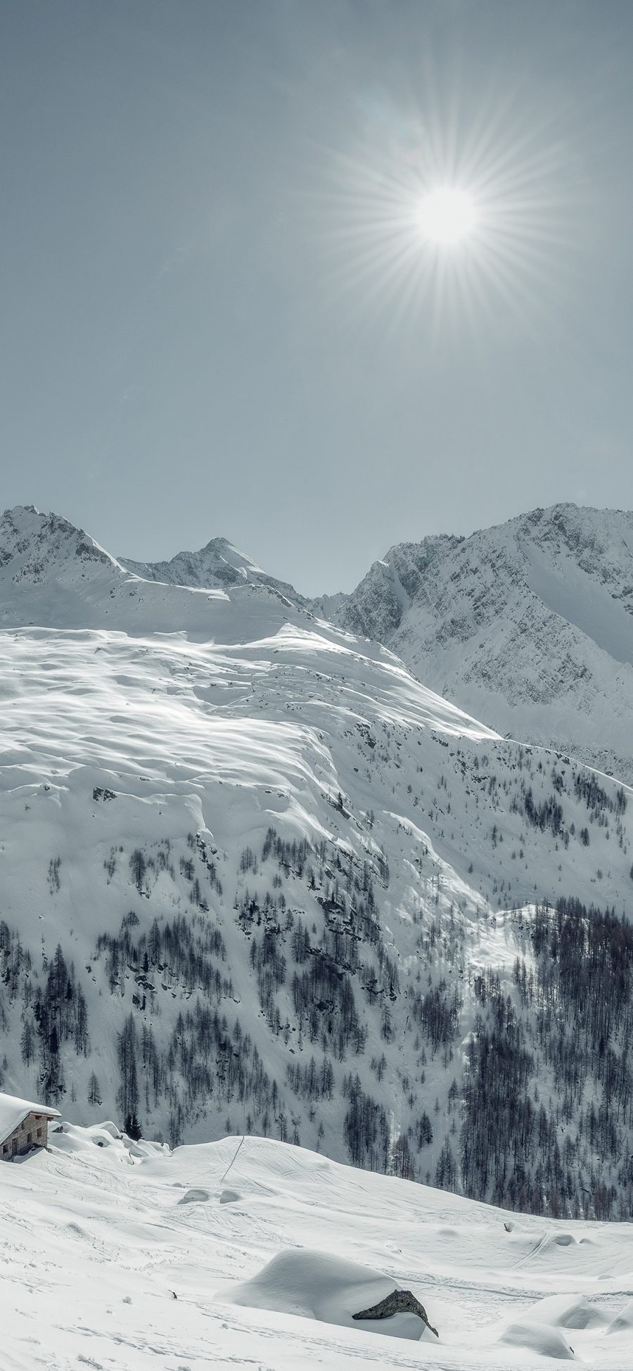 [2436×1125]冬季 雪地 美景 太阳 唯美 苹果手机壁纸图片