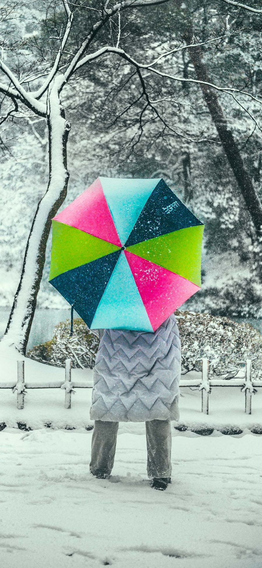 [2436×1125]冬季 雪地 背影 雨伞 鲜艳 苹果手机壁纸图片