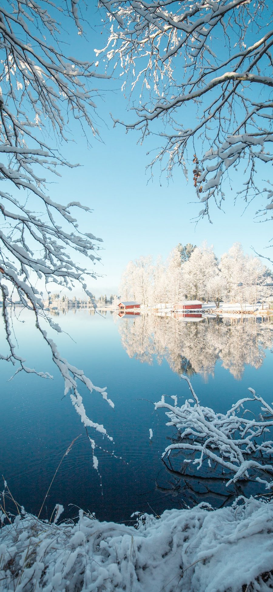 [2436×1125]冬季 雪景 树枝 胡泊 苹果手机壁纸图片