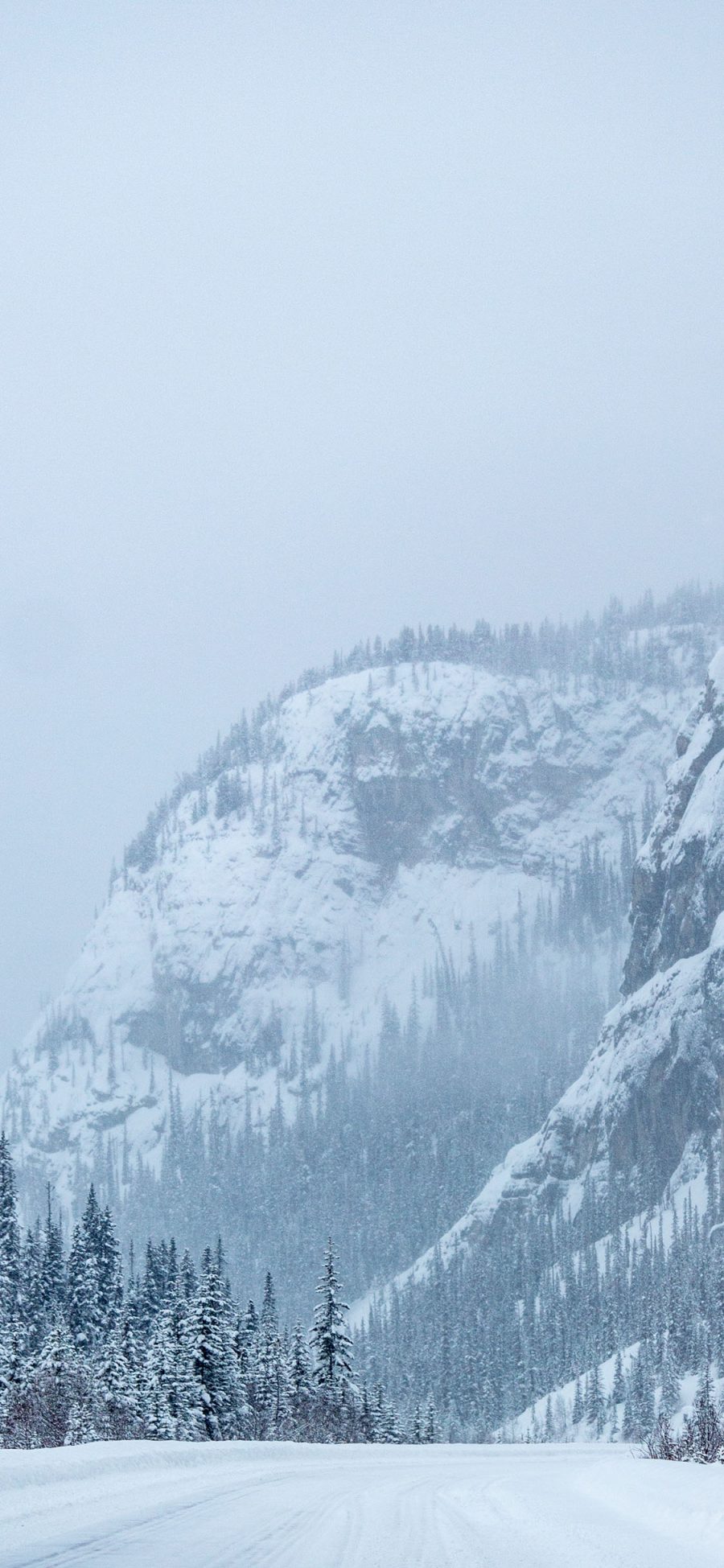 [2436×1125]冬季 雪景 白雪覆盖 雪山 苹果手机壁纸图片