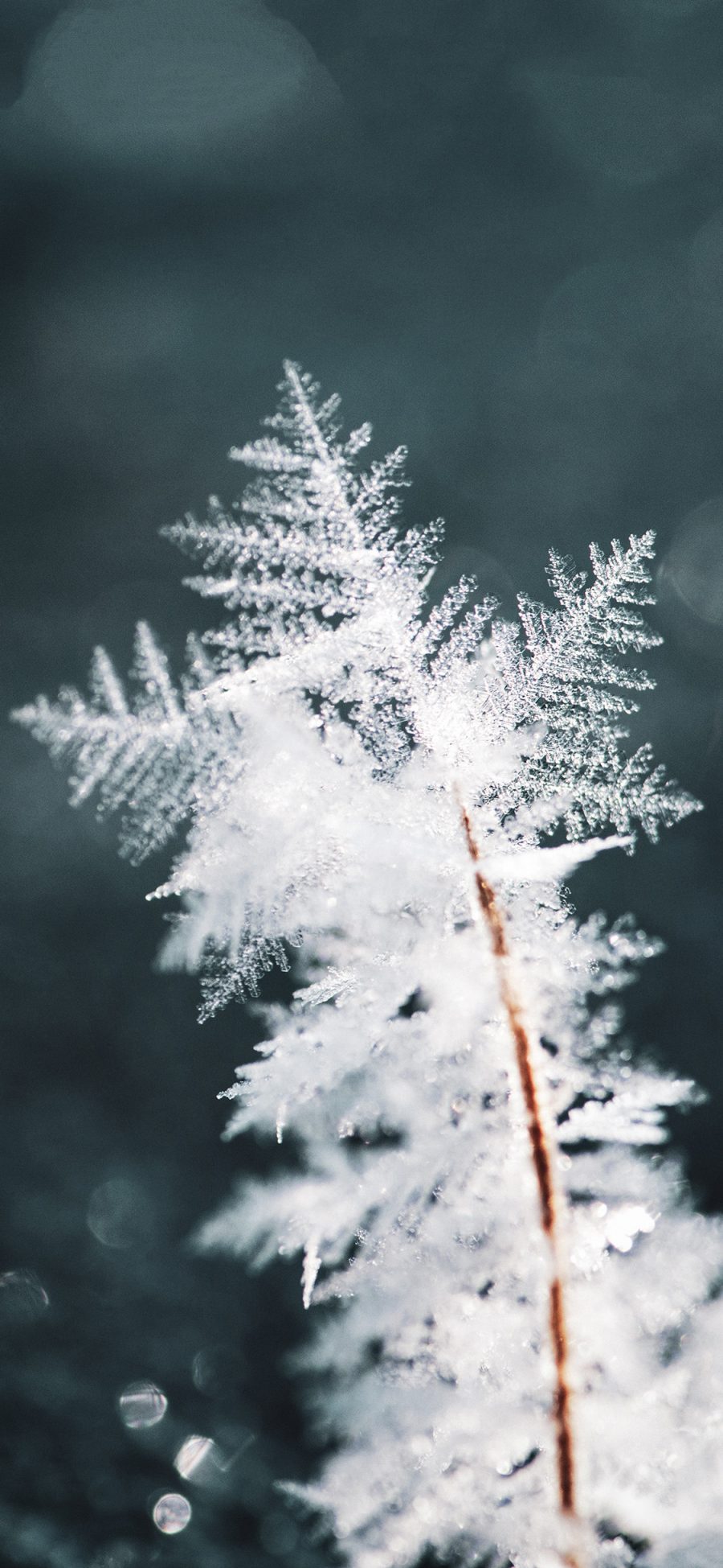 [2436×1125]冬季 雪花 结晶 剔透 苹果手机壁纸图片