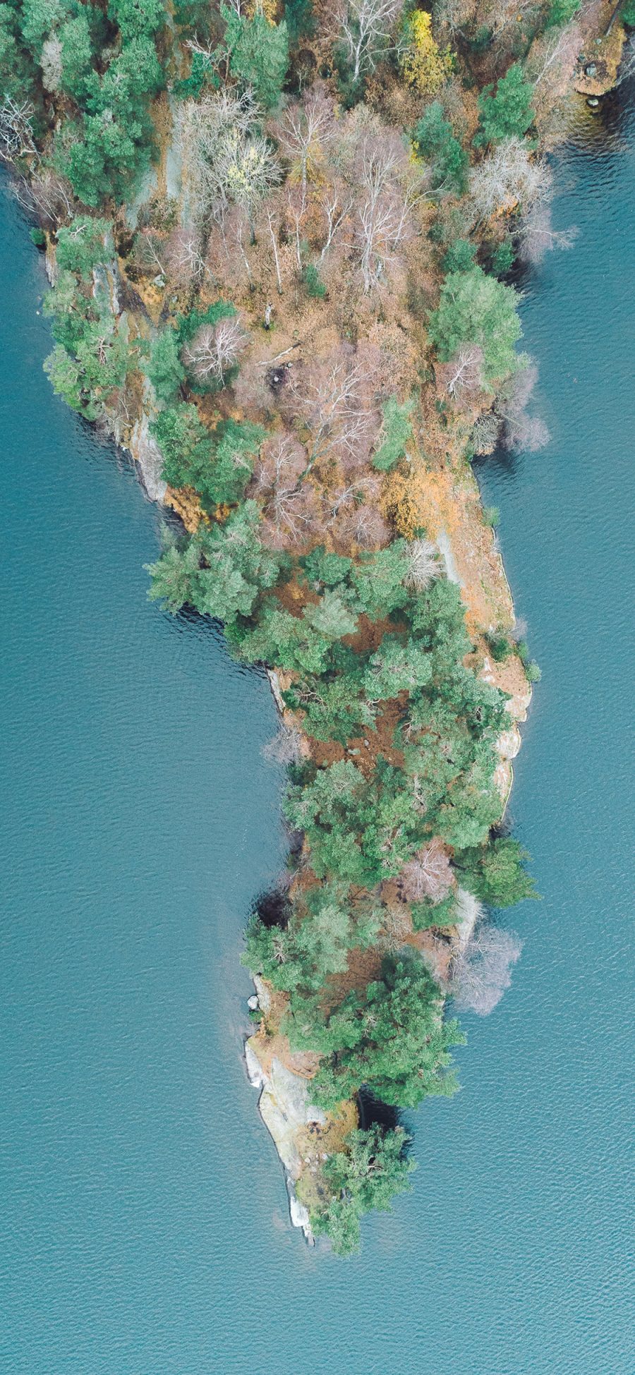 [2436×1125]半岛 自然 海岸 植被 苹果手机壁纸图片