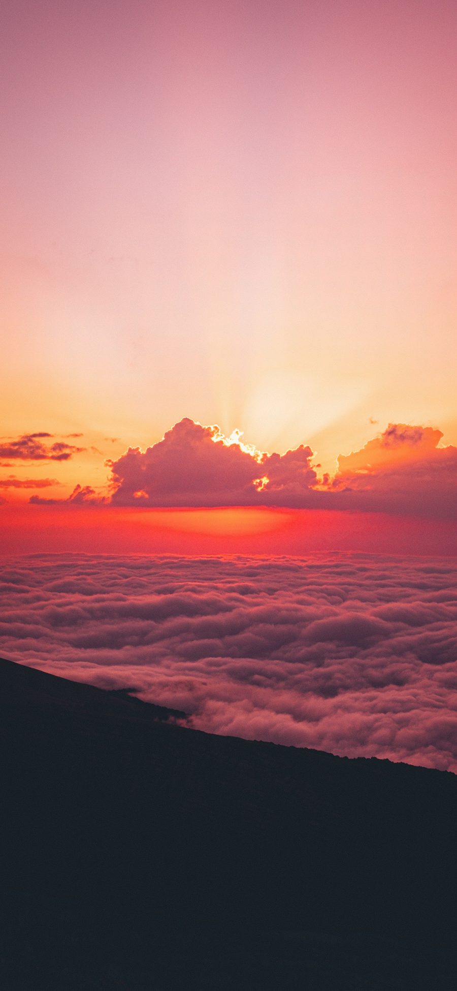 [2436×1125]夕阳 云海 高空 云彩 苹果手机壁纸图片