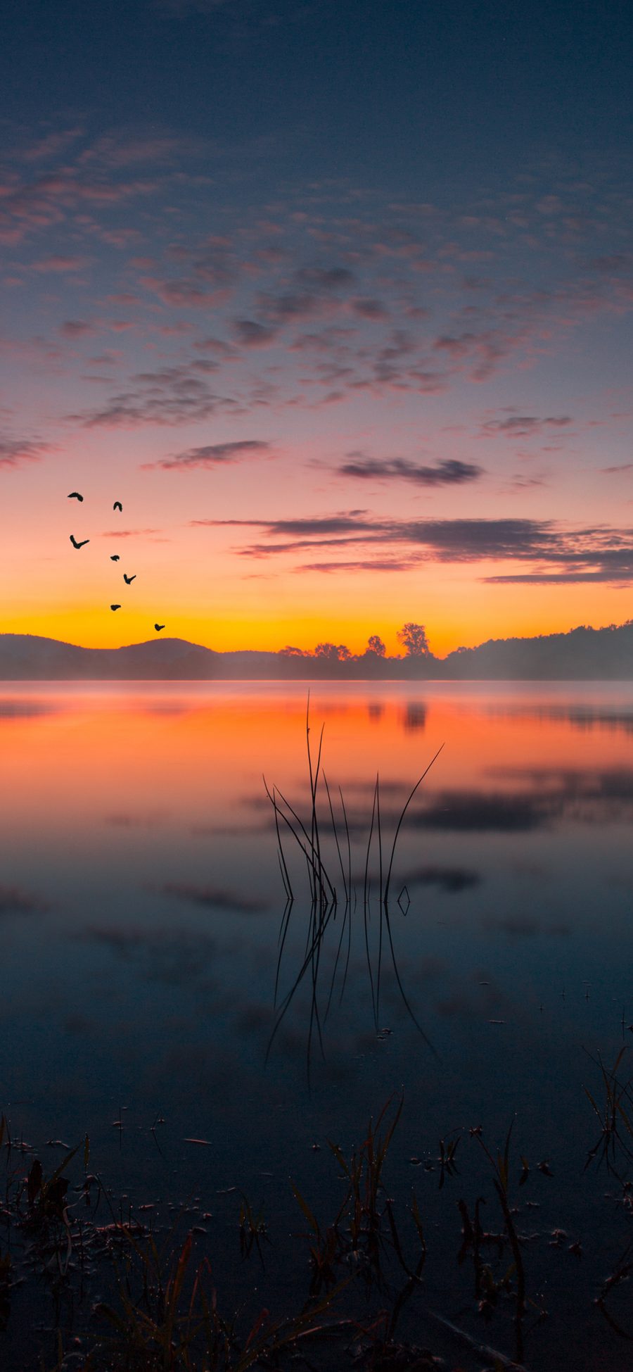 [2436×1125]夕阳 倒映 落日 天空 苹果手机壁纸图片