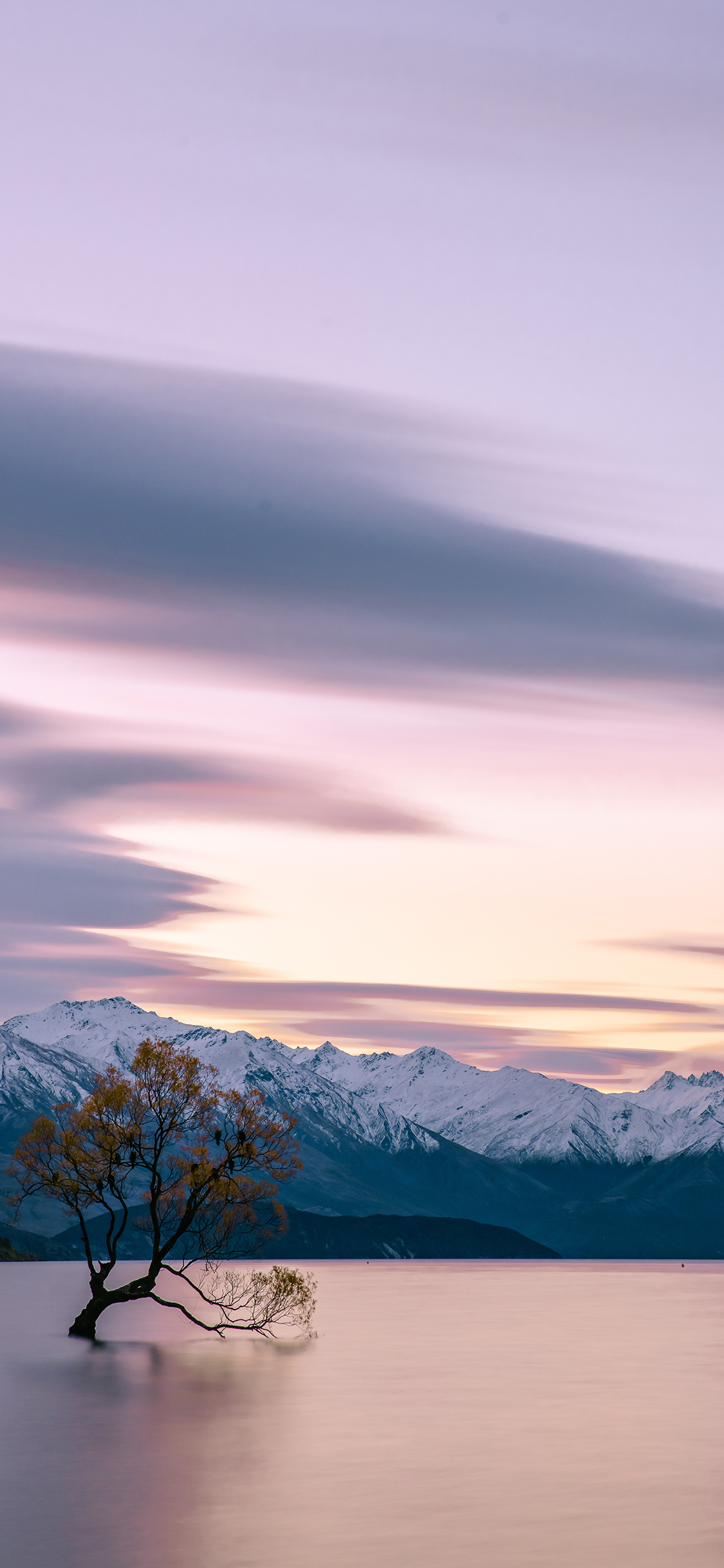 [2436×1125]夕阳 彩霞 雪顶 宁静 苹果手机壁纸图片