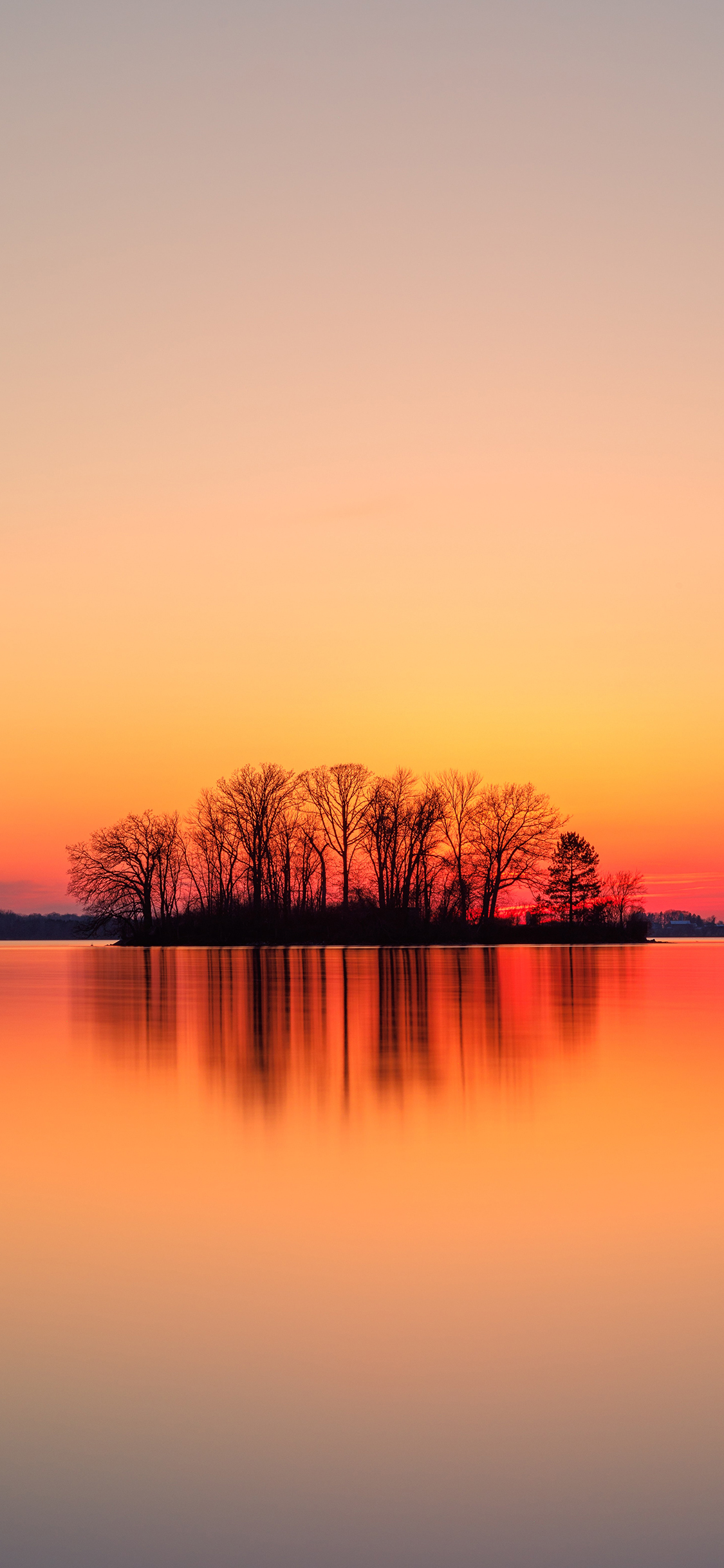 [2436×1125]夕阳 树木 湖泊 红霞 美景 苹果手机壁纸图片
