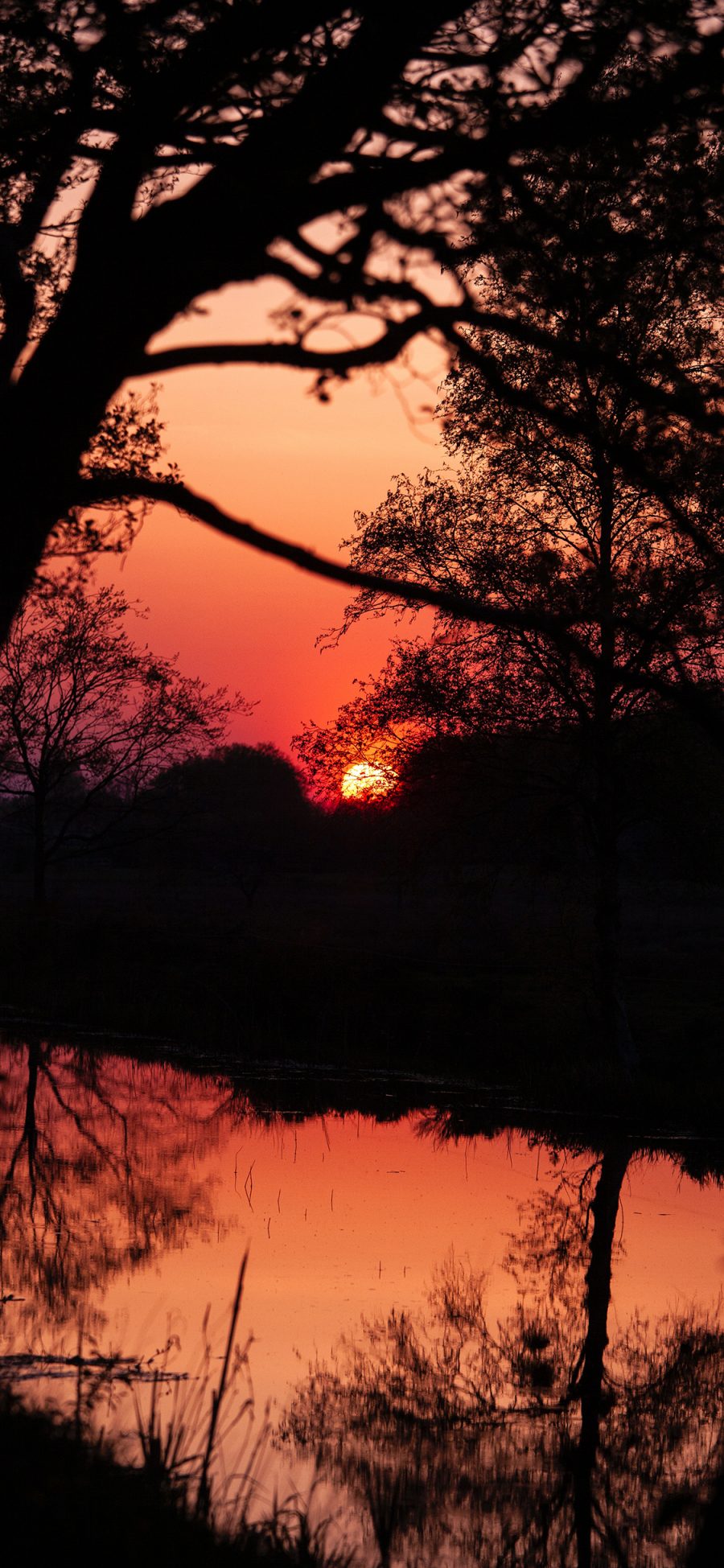 [2436×1125]夕阳 落日 黄昏 河岸 苹果手机壁纸图片