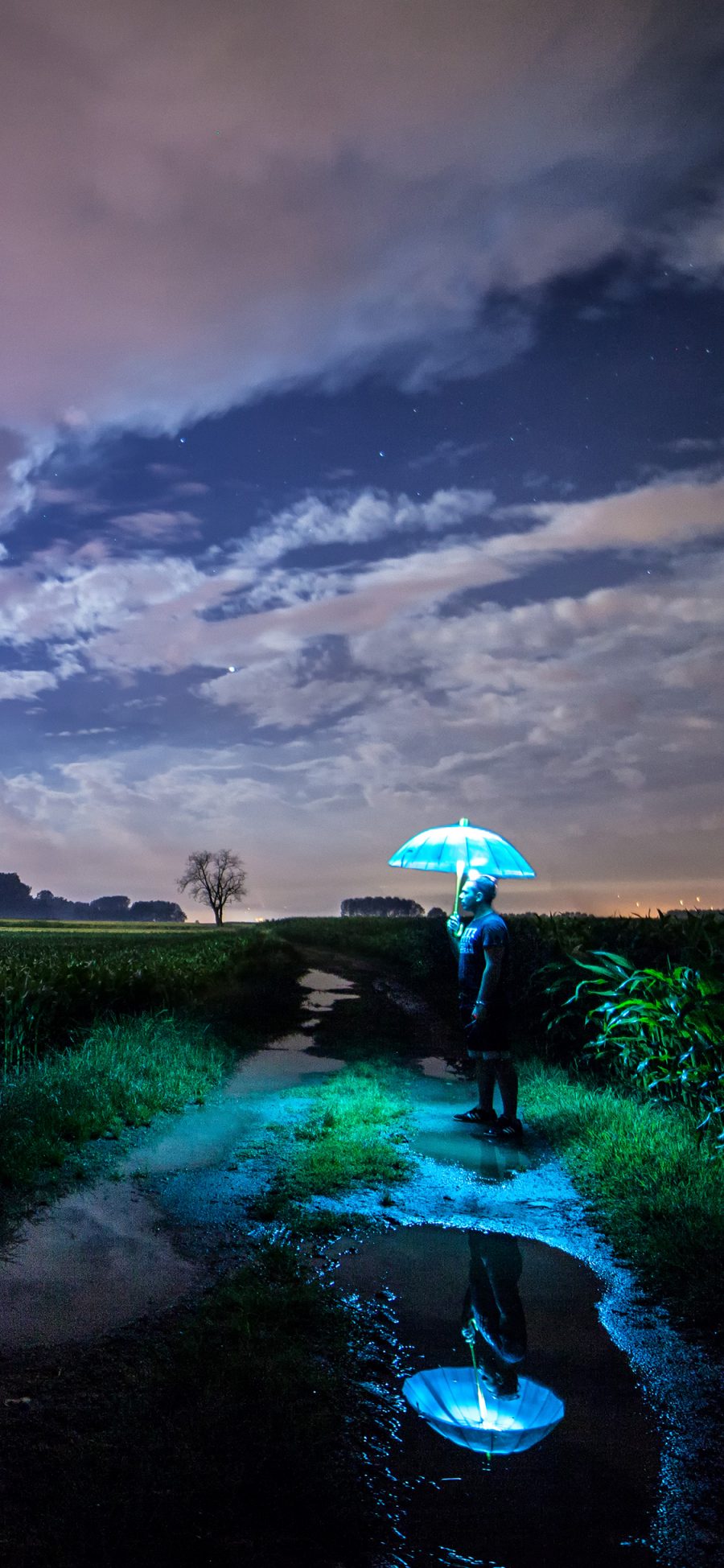 [2436×1125]夜 玉米地 男 伞 发光 荧光 苹果手机壁纸图片