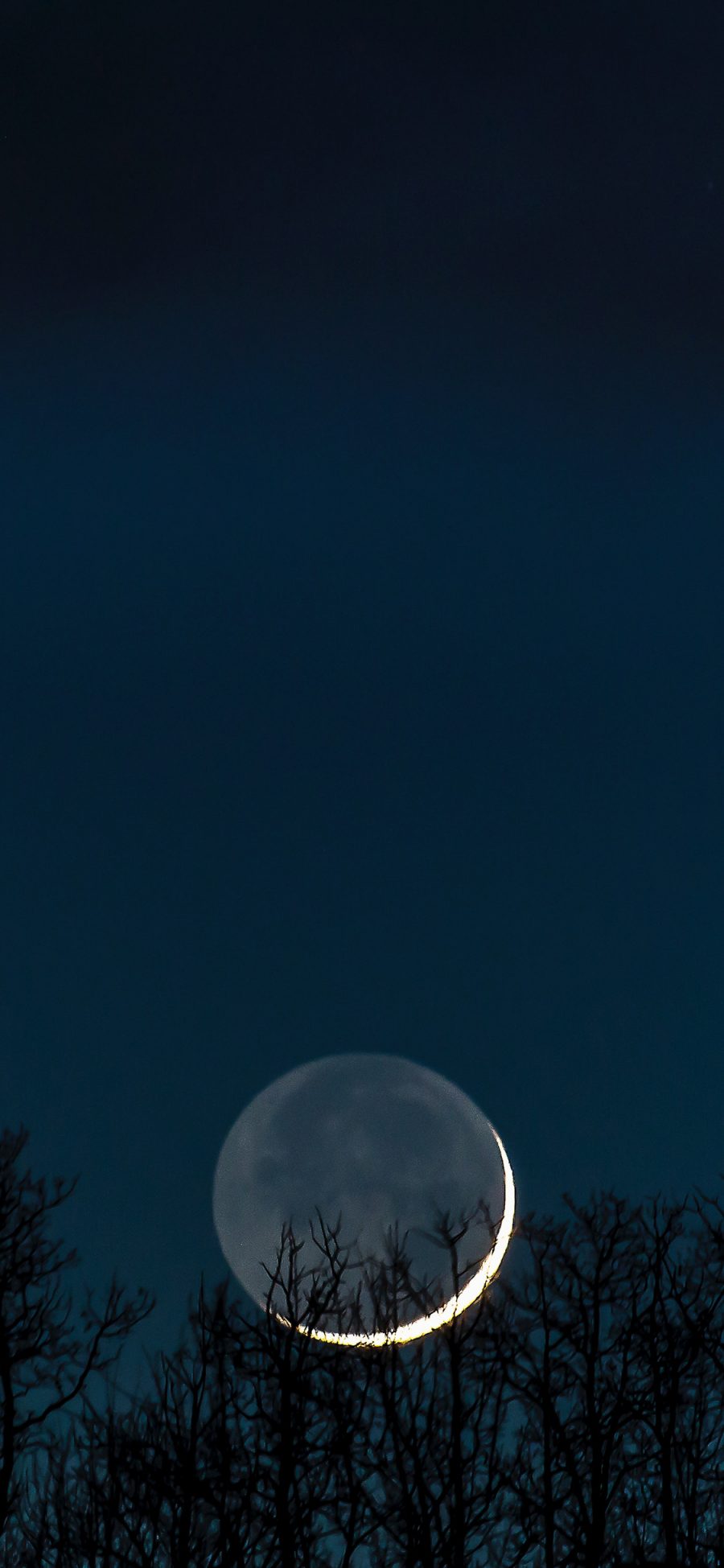 [2436×1125]夜景 天空 月亮 树木 苹果手机壁纸图片