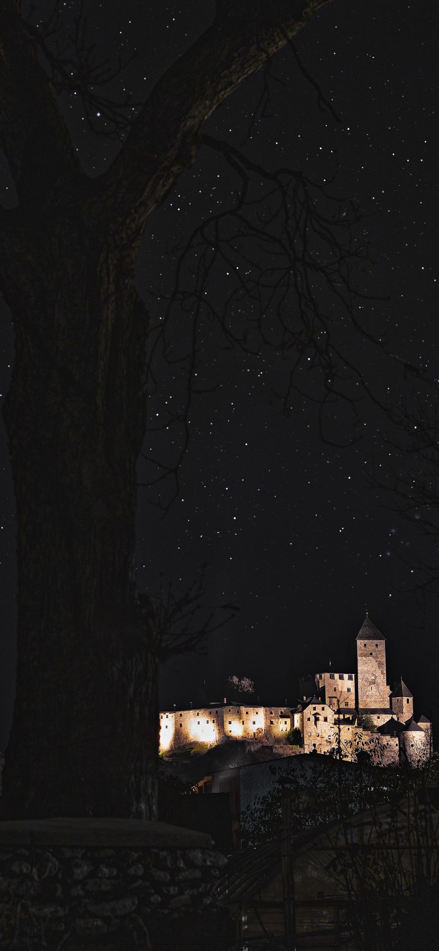 [2436×1125]夜景 星空 树木 建筑 苹果手机壁纸图片