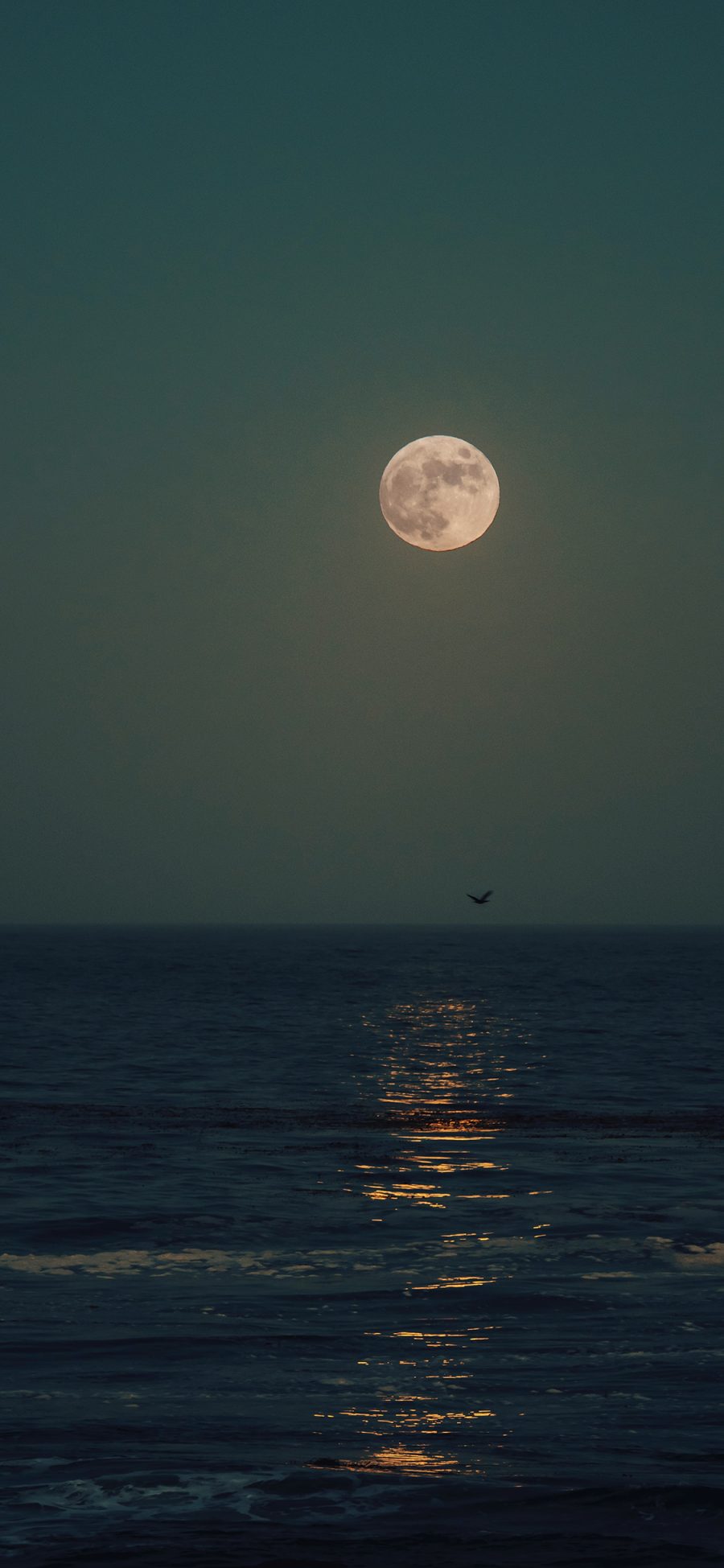 [2436×1125]夜景 月亮 大海 海景 静谧 苹果手机壁纸图片