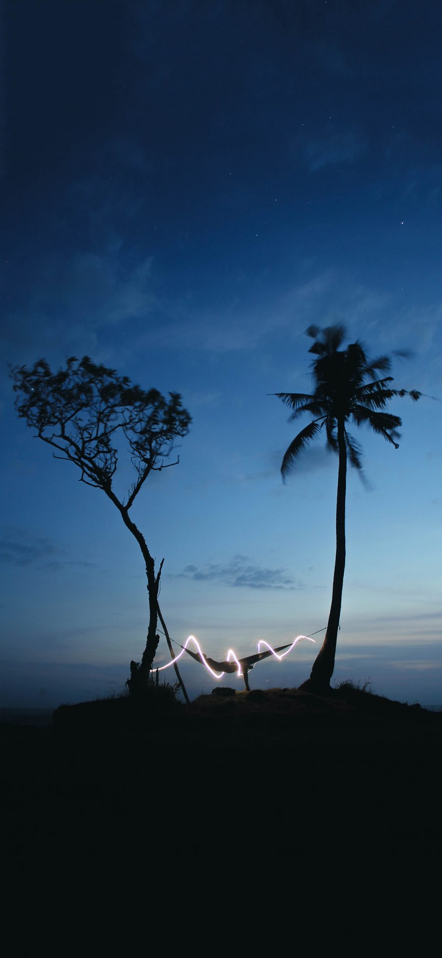 [2436×1125]夜景 椰树 吊床 光纤 苹果手机壁纸图片