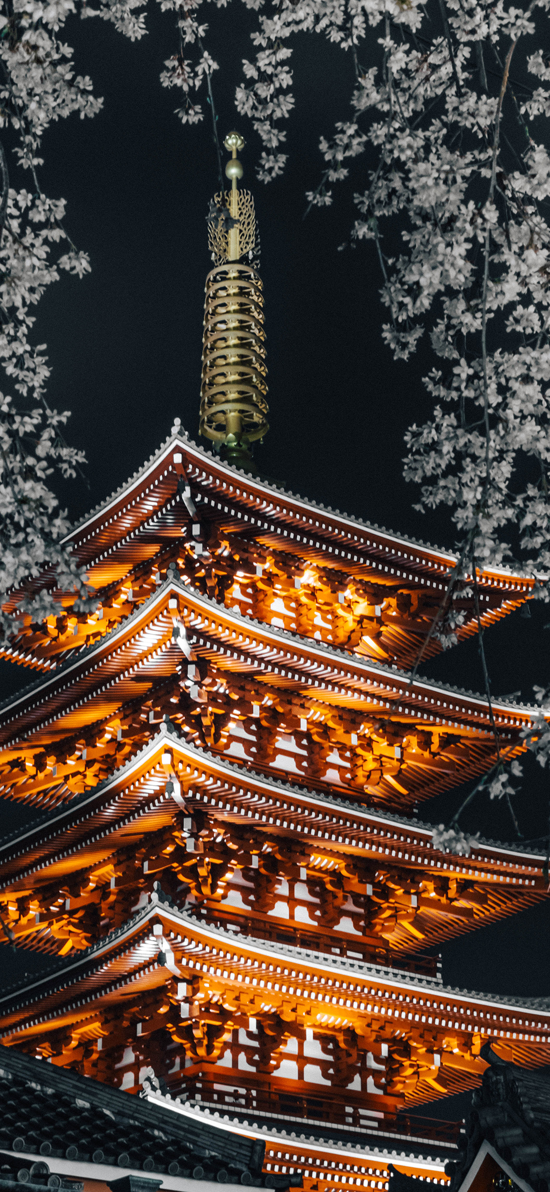[2436×1125]夜景 灯光 日本 浅草寺 寺庙 苹果手机壁纸图片