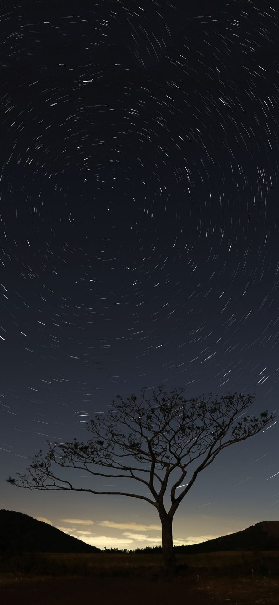 [2436×1125]夜空美景 光圈 树木 苹果手机壁纸图片