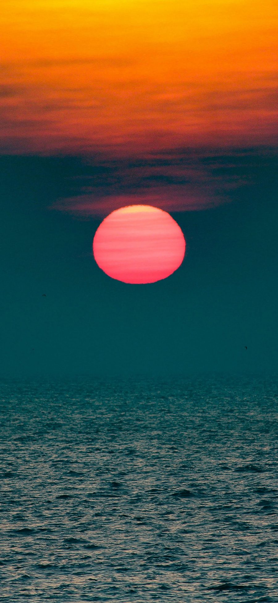 [2436×1125]大海 夕阳 红霞 美景 苹果手机壁纸图片