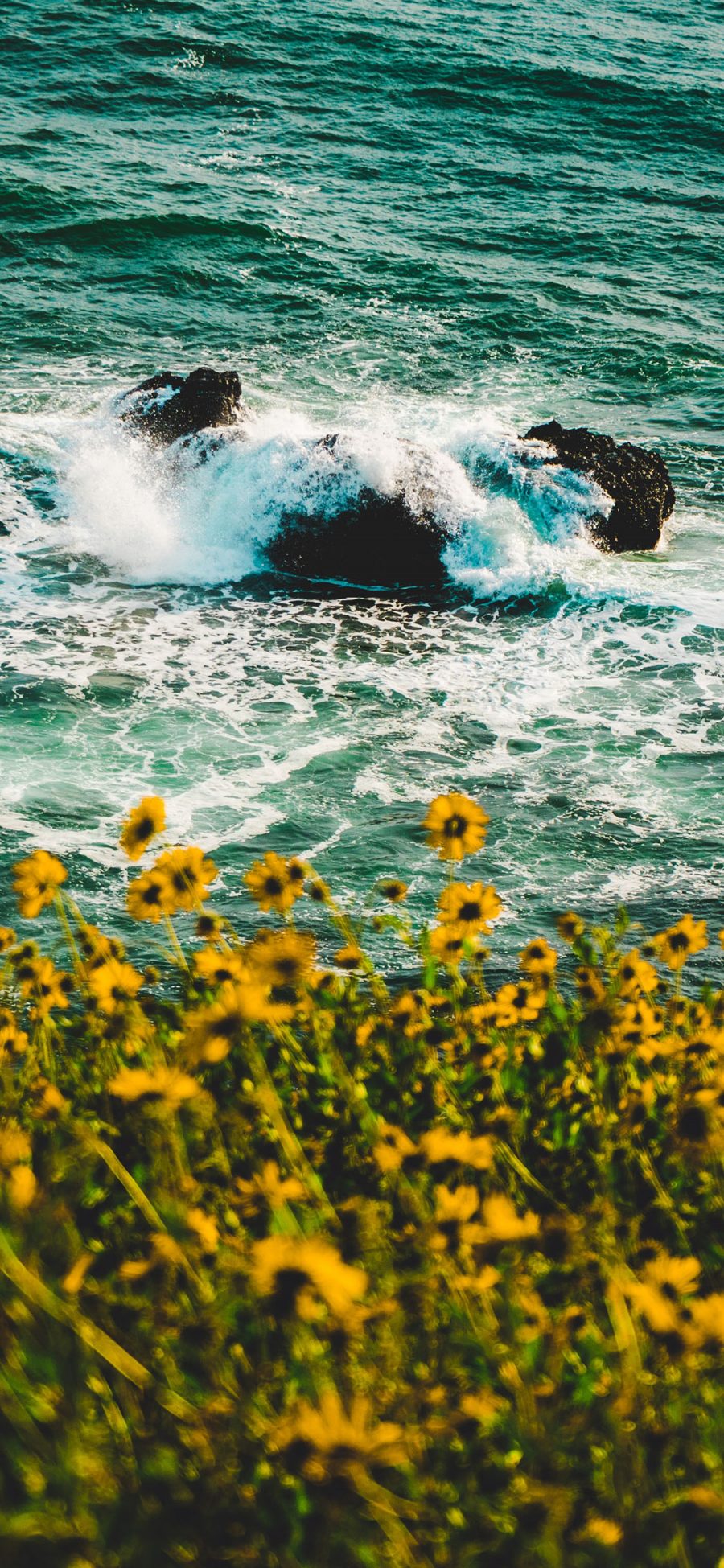 [2436×1125]大海 岩石 浪花 鲜花 苹果手机壁纸图片