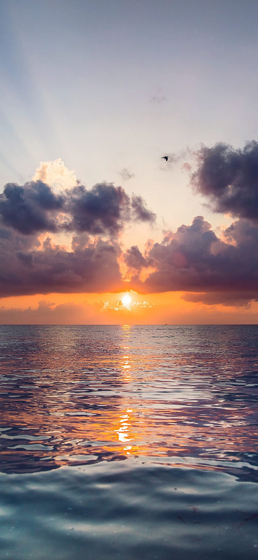 [2436×1125]大海 日出 唯美 阳光 苹果手机壁纸图片