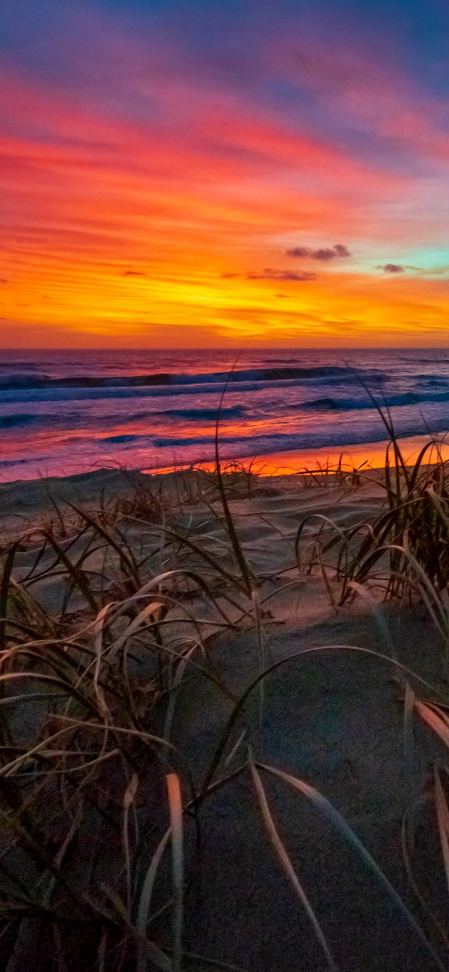 [2436×1125]大海 沙滩 夕阳 植株 美景 苹果手机壁纸图片