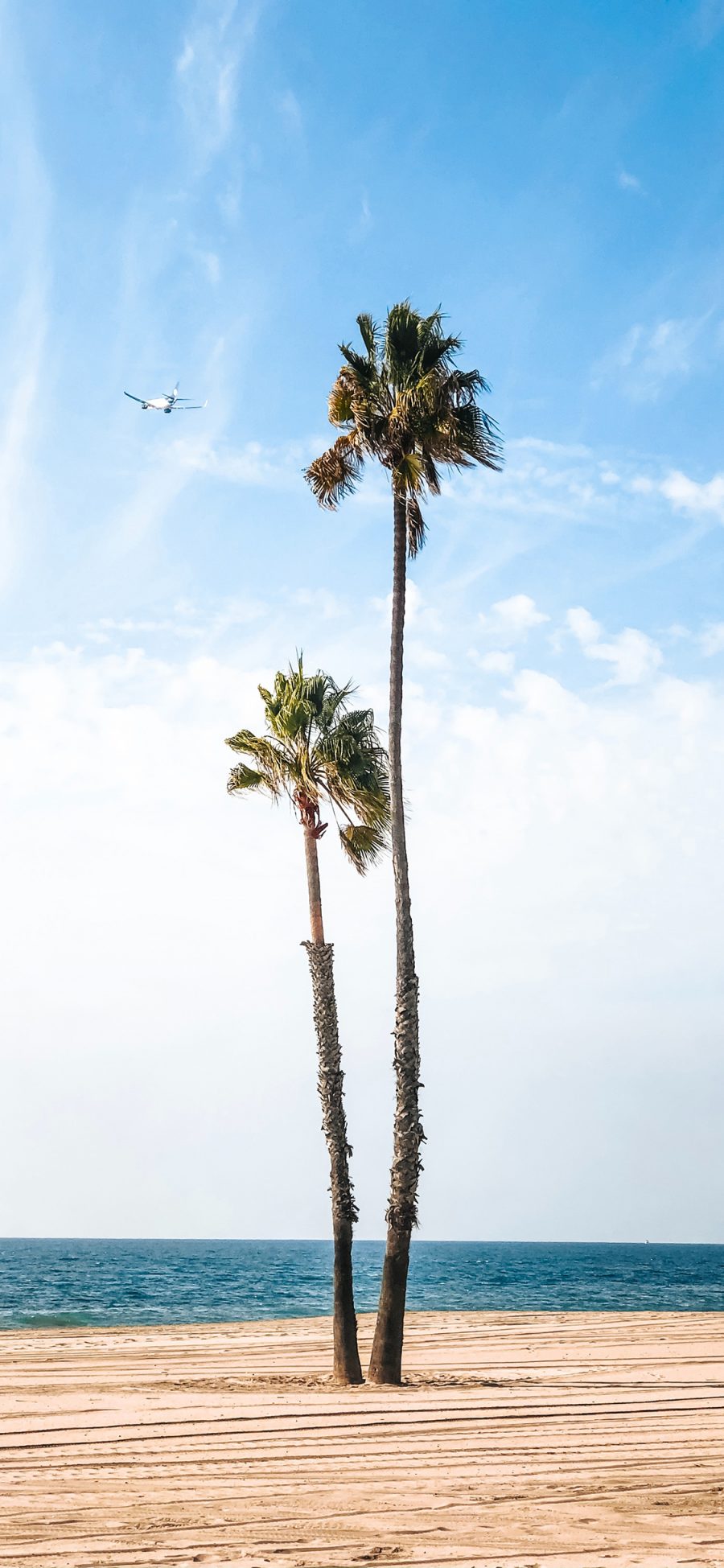 [2436×1125]大海 沙滩 蓝天白云 椰树 苹果手机壁纸图片