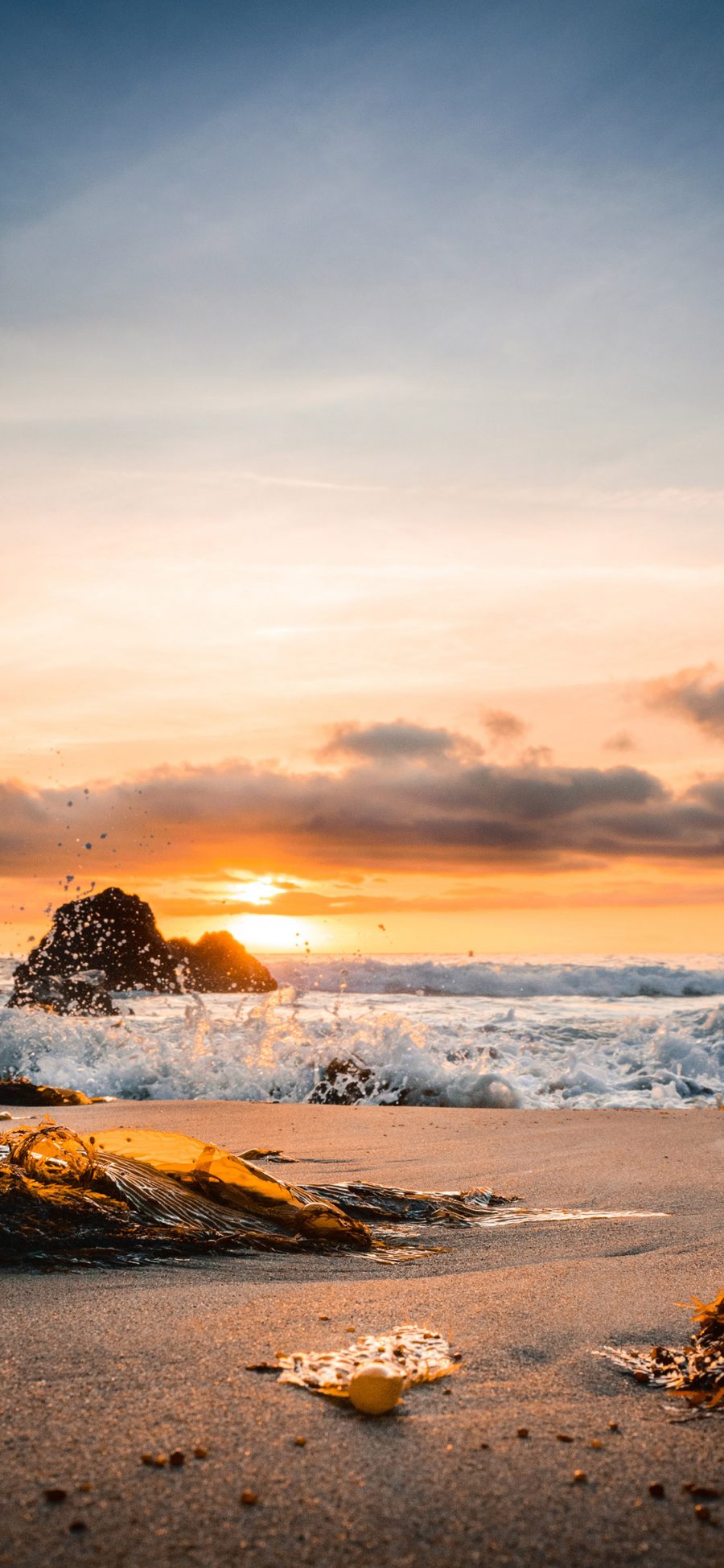 [2436×1125]大海 浪花 沙滩 夕阳 唯美 苹果手机壁纸图片