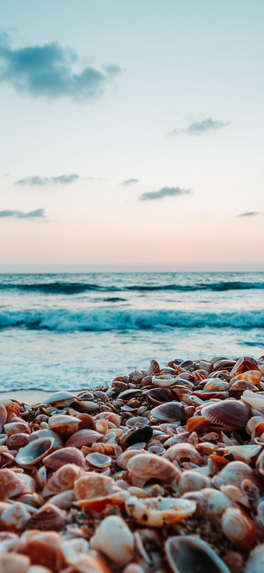 [2436×1125]大海 浪花 沙滩 贝壳 苹果手机壁纸图片