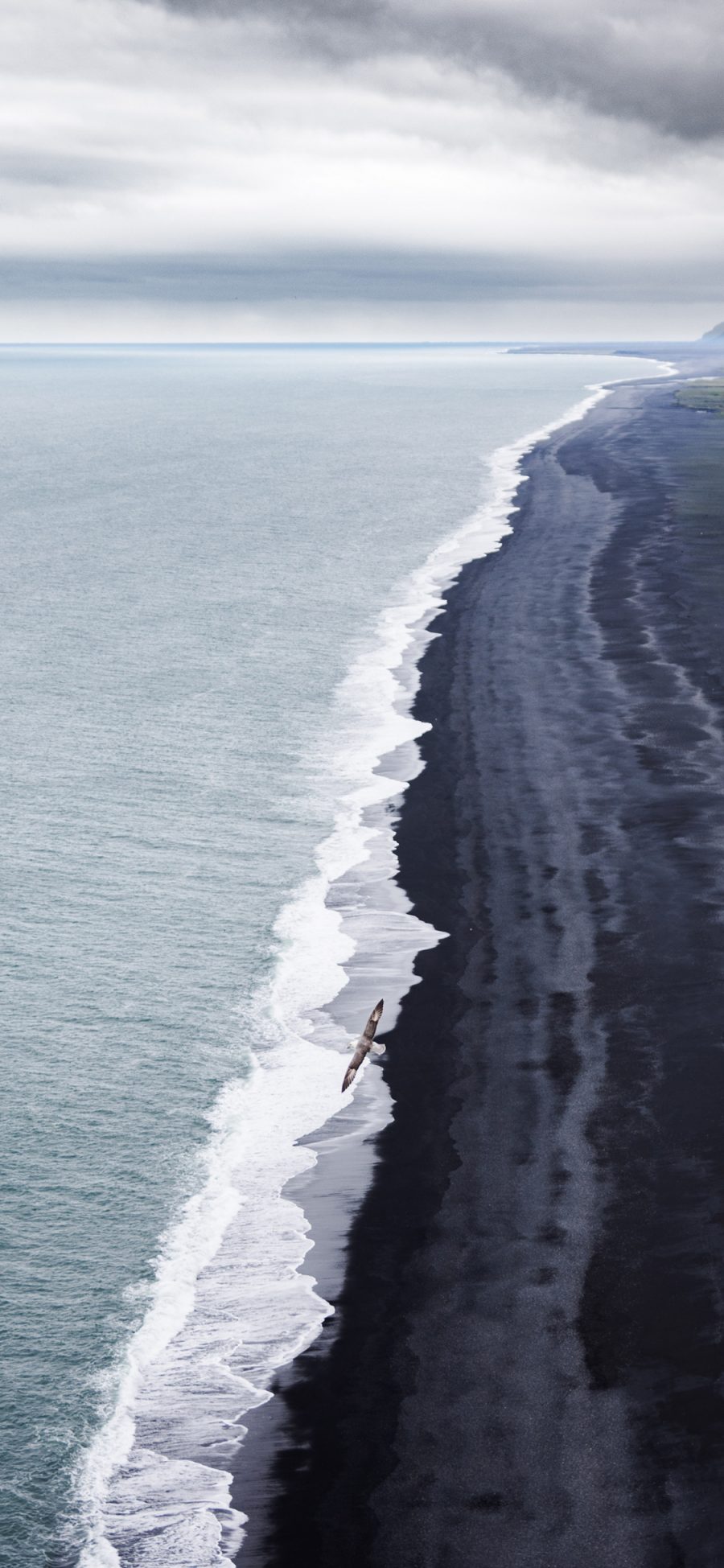 [2436×1125]大海 海水 海浪 飞鸟 苹果手机壁纸图片