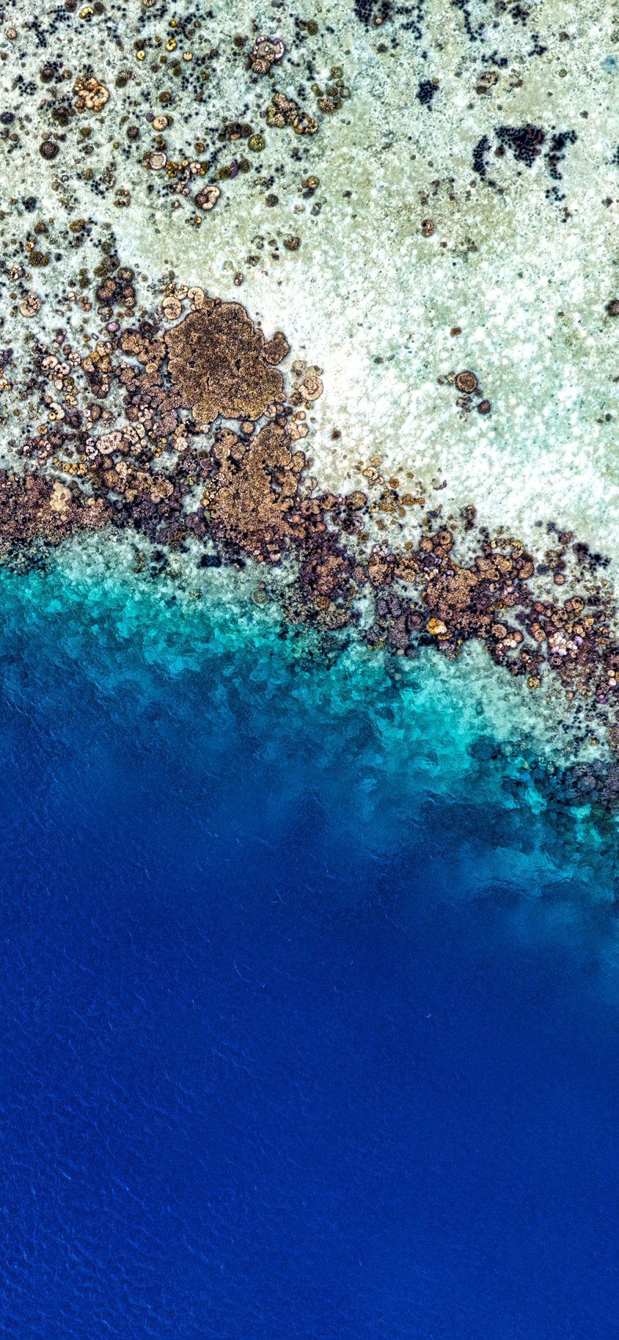 [2436×1125]大海 海洋 蓝色 海岸 苹果手机壁纸图片