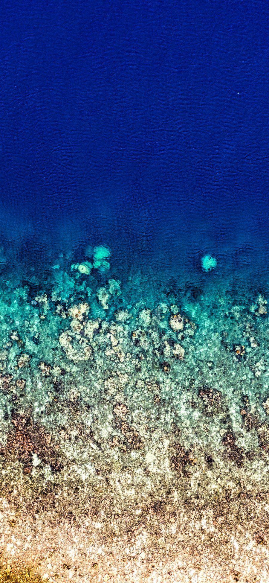 [2436×1125]大海 海洋 蓝色 海岸 海水 渐变 苹果手机壁纸图片