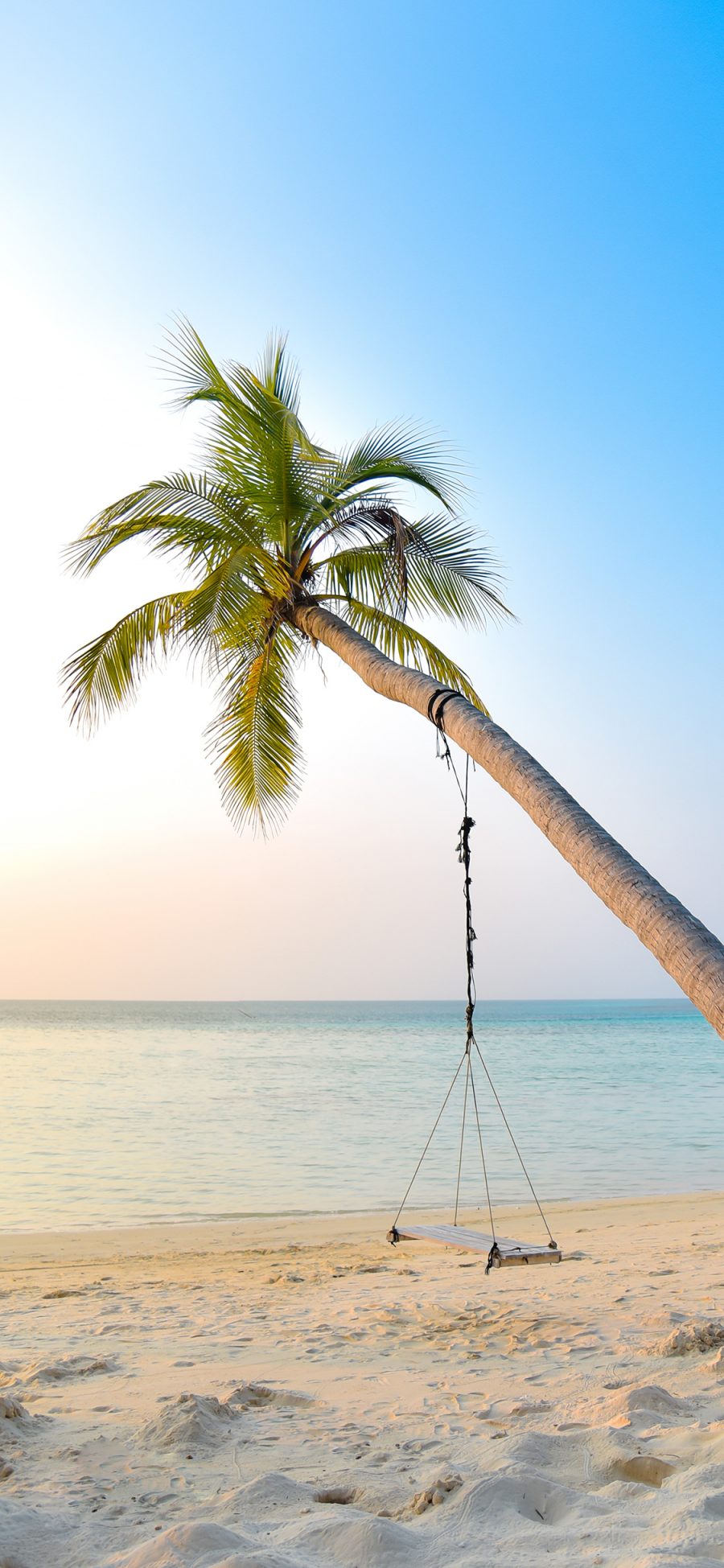 [2436×1125]大海 海滩 椰树 秋千 苹果手机壁纸图片