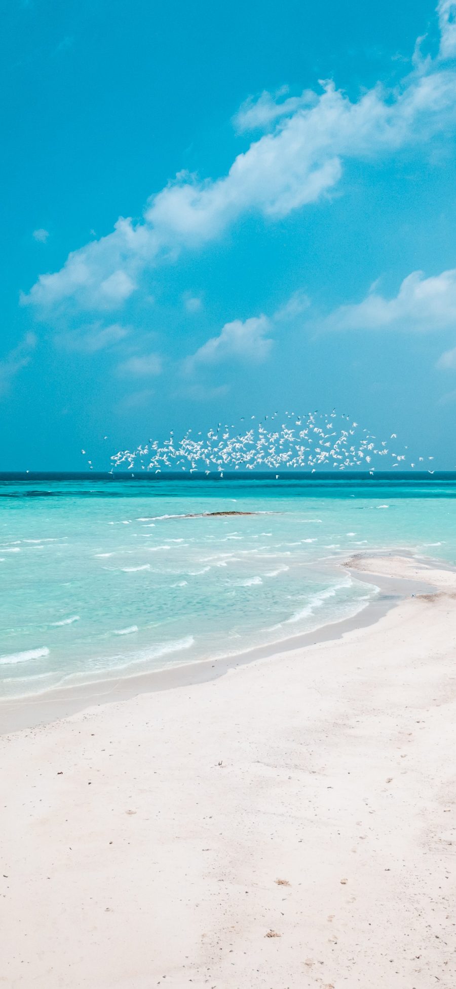 [2436×1125]大海 海滩 蓝天白云 风景 苹果手机壁纸图片